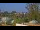 Webcam in Saint Petersburg, Florida, 7.5 mi away