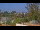Webcam in Saint Petersburg, Florida, 17.7 km entfernt