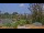 Webcam in Saint Petersburg, Florida, 15 mi away