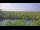 Webcam in Saint Petersburg, Florida, 6.8 mi away