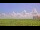 Webcam in Saint Petersburg, Florida, 9.3 mi away