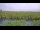 Webcam in Saint Petersburg, Florida, 17.8 km entfernt