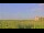 Webcam in Saint Petersburg, Florida, 6.8 mi away