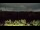 Webcam in Saint Petersburg, Florida, 7.8 mi away