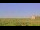 Webcam in Saint Petersburg, Florida, 8.8 mi away