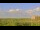 Webcam in Saint Petersburg, Florida, 17.8 km