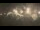 Webcam in Washington, Pennsylvania, 76.4 km