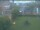 Webcam in Dörentrup, 28.5 km