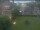 Webcam in Dörentrup, 9.9 mi away