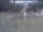 Webcam in Dörentrup, 12.2 mi away