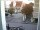 Webcam in Reutlingen, 10 km