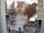 Webcam in Reutlingen, 12.2 km