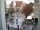 Webcam in Reutlingen, 10 km