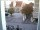 Webcam in Reutlingen, 23.9 km