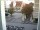 Webcam in Reutlingen, 4.7 mi away