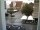 Webcam in Reutlingen, 15 km