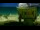Webcam in the Llano de Chajnantor, 107.9 mi away