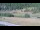 Webcam in Cervières, 7.1 mi away