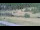 Webcam in Cervières, 7.5 km entfernt
