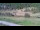 Webcam in Cervières, 2.9 mi away
