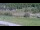 Webcam in Cervières, 11.5 km entfernt