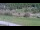 Webcam in Cervières, 18.2 km entfernt