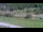 Webcam in Cervières, 18.6 km