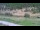 Webcam in Cervières, 20.3 km