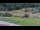 Webcam in Cervières, 2.9 mi away