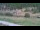 Webcam in Cervières, 7 mi away