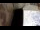 Webcam in Sydney, 259.2 mi away