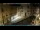 Webcam in Venice, 9.3 mi away