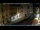Webcam in Venedig, 1 km entfernt