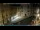 Webcam in Venice, 9.3 mi away