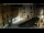 Webcam in Venice, 0.3 mi away