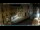 Webcam in Venedig, 0.9 km