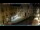 Webcam in Venedig, 1 km entfernt