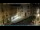 Webcam in Venice, 9.3 mi away