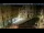 Webcam in Venice, 9.3 mi away