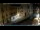 Webcam in Venedig, 0.8 km