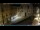 Webcam in Venedig, 1 km entfernt