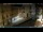 Webcam in Venedig, 1 km entfernt