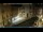 Webcam in Venice, 0.4 mi away
