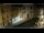 Webcam in Venice, 0.3 mi away