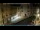 Webcam in Venedig, 0.9 km