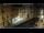 Webcam in Venice, 9.3 mi away