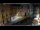 Webcam in Venice, 0.4 mi away