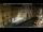 Webcam in Venice, 9.3 mi away