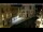 Webcam in Venice, 0.4 mi away