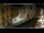 Webcam in Venezia, 0.1 km